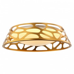 Подвесной светодиодный светильник Favourite Arcanum 2507-3PC