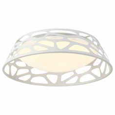 Подвесной светодиодный светильник Favourite Arcanum 2505-3PC