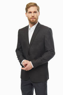 Пиджак мужской ABSOLUTEX 3321-2 серый 56/176 RU