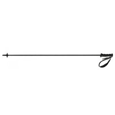 Палки для горных лыж HEAD