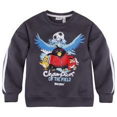 Свитшот Bossa Nova