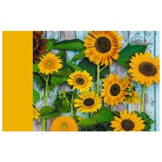 Альбом для рисования Unnika