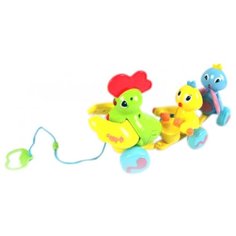 Каталка-игрушка Joy Toy Птичий