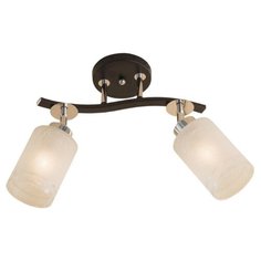 Люстра Citilux Фортуна CL156121