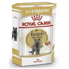 Корм для кошек Royal Canin