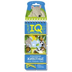 Игры со шнурком. Необыкновенные АЙРИС пресс