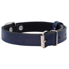 Ошейник Дарэлл Брайт 710020