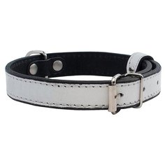 Ошейник Дарэлл Брайт 710015