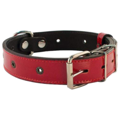 Ошейник Дарэлл Брайт-люверс