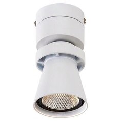 Спот Citilux Дубль-1 CL556510