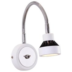 Спот Citilux Данди CL557311