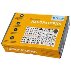 Электронный конструктор PinLab