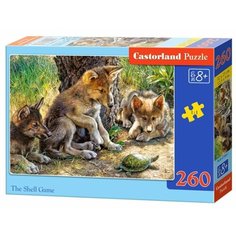 Пазл Castorland The Shell Game