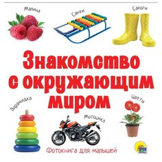 Знакомство с окружающим миром Проф Пресс