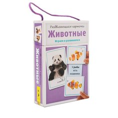 Набор карточек РОСМЭН