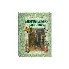 Цингер А.В. Занимательная Белый город