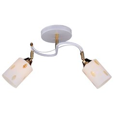 Люстра РОССвет РС18192 WT+FG 2C