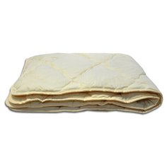 Одеяло Даргез Тотошка лёгкое