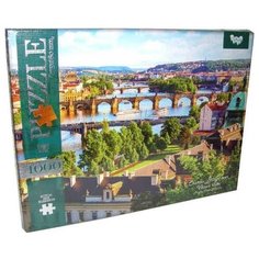 Пазл Danko Toys Городская река