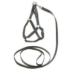 Шлейка с поводком Дарэлл