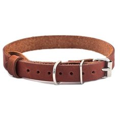 Ошейник Дарэлл Kenner Einer