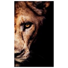 Картина Ekoramka Львица фас