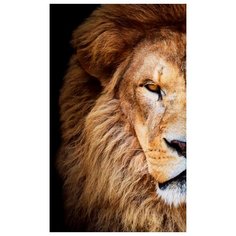 Картина Ekoramka Лев фас