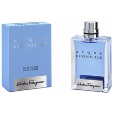 Туалетная вода Salvatore