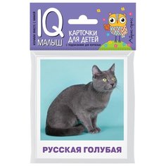 Малунова М.В. Умный малыш. АЙРИС пресс