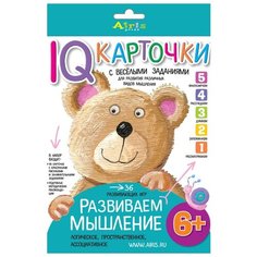 Набор карточек Айрис-Пресс