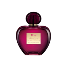 Antonio Banderas Her Secret