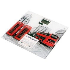 Весы ENDEVER Aurora-559