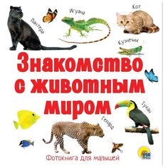 Знакомство с животным миром Проф Пресс