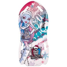 Ледянка 1 TOY Monster High Т56337