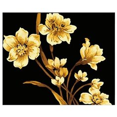 Hobbart Картина по номерам