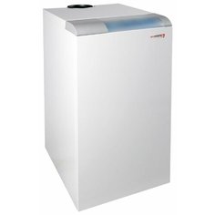 Газовый котел Protherm Медведь