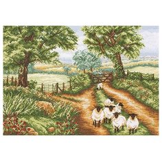 Anchor Набор для вышивания Вниз