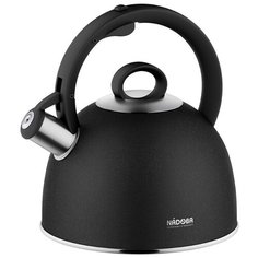 Nadoba Чайник ANESA 2.9 л