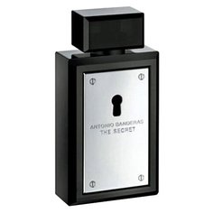 Antonio Banderas The Secret 100