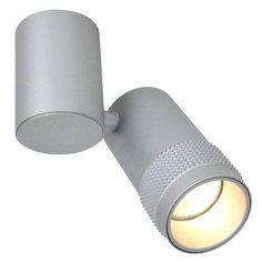 Спот Favourite Kinescope 2454-1U