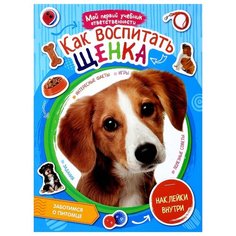 Мой первый учебник Рипол Классик