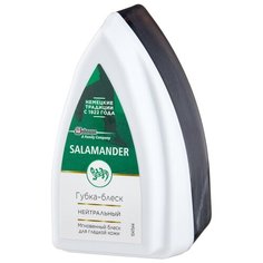 Salamander Shoe Shine