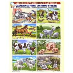 Демонстрационные картины Творческий Центр СФЕРА