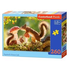 Пазл Castorland Squirrels