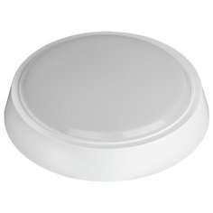 Светодиодный светильник ЭРА ERA