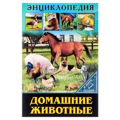 Балуева О. Домашние животные. Проф Пресс