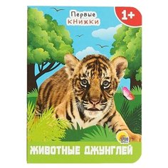 Купырина А.М. Первые книжки. Проф Пресс