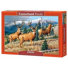 Пазл Castorland Up The Mountain