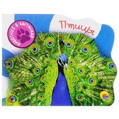 Ищук И.А. Шелюх Н.Е. Животные в Проф Пресс