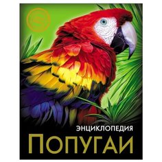 Соколова Я. Энциклопедия. Хочу Проф Пресс